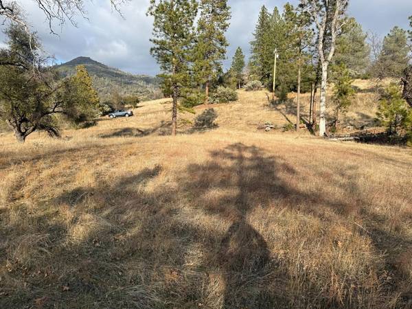 65 Mc Daniel, North Fork, CA 93643