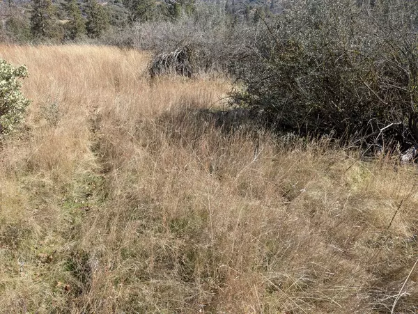 Miramonte, CA 93641,141517 Dunlap Rd