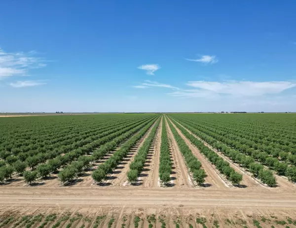 Five Points, CA 93624,0 Lassen AVE