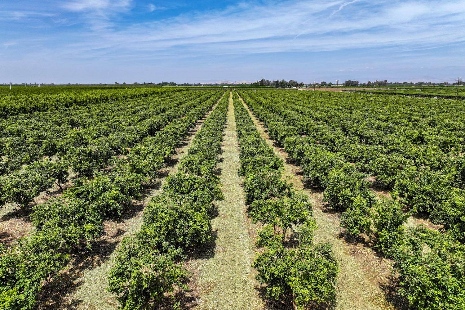 Exeter, CA 93221,0 Road 176