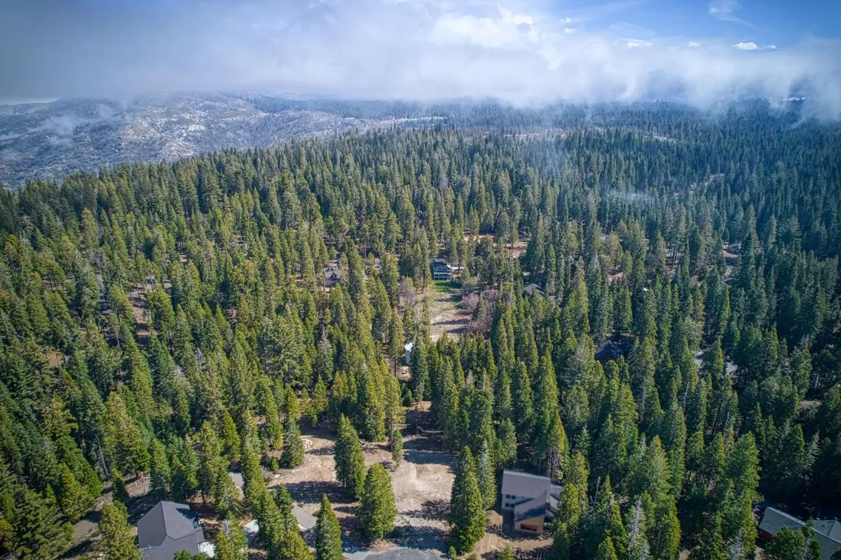 Shaver Lake, CA 93664,32 Mountain Heather