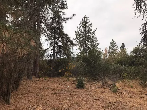 Auberry, CA 93602,34182 Natoma RD