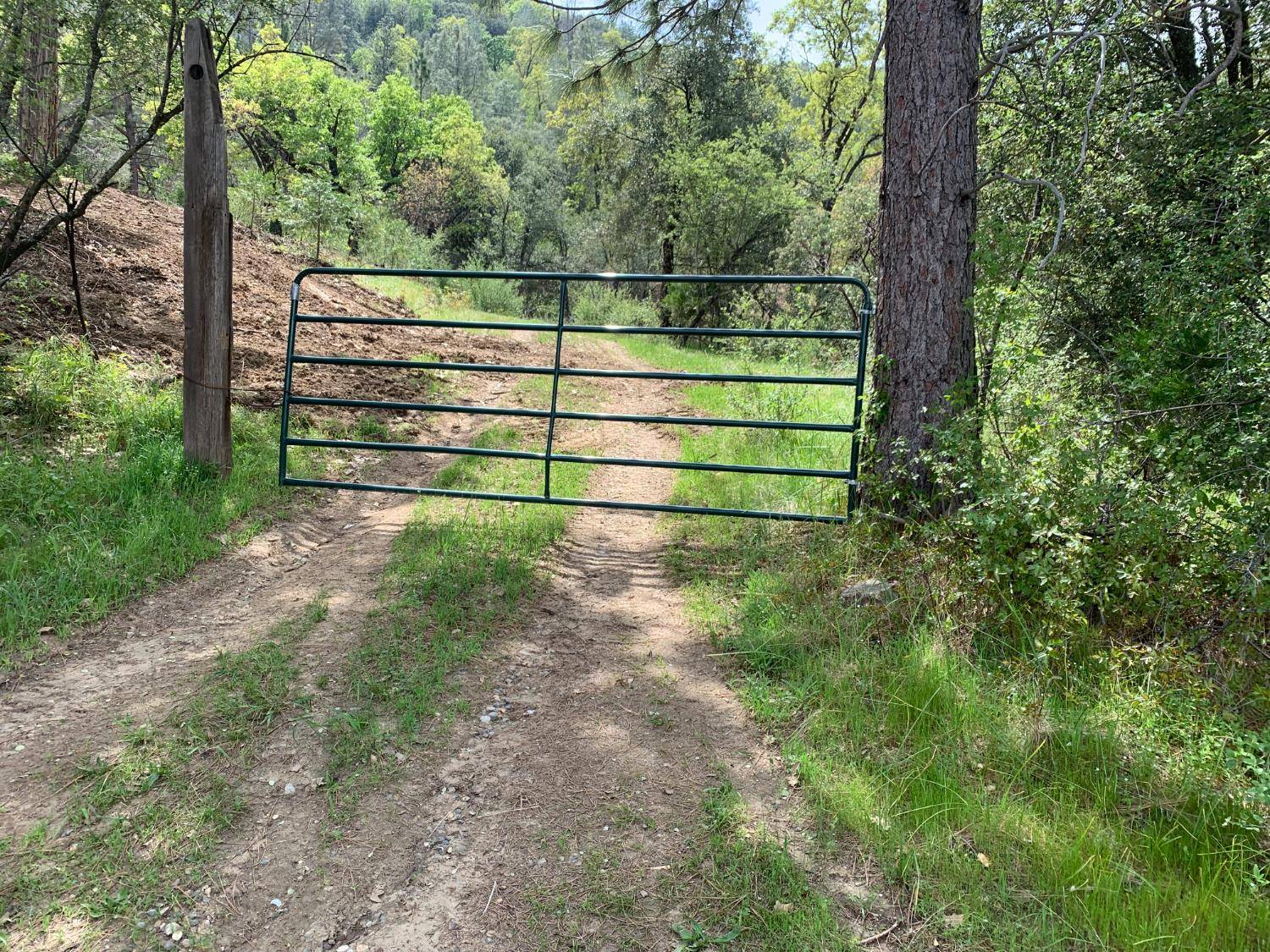 3 Road 222, Oakhurst, CA 93644