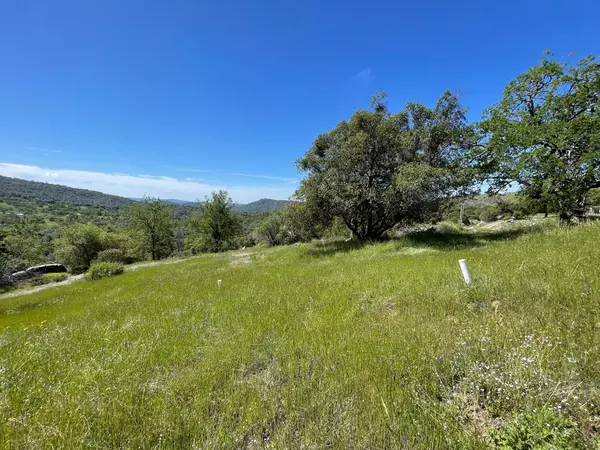 Mariposa, CA 95338,3116 River Haven DR