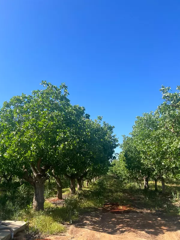 Madera, CA 93636,1 Road 36