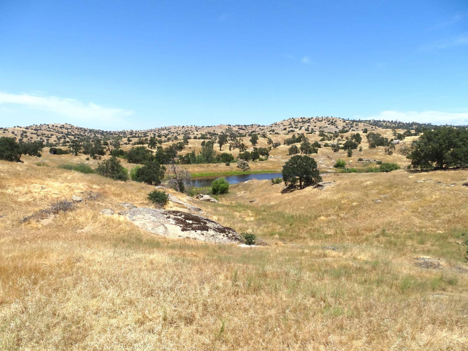 Madera, CA 93636,1 Millstream LN