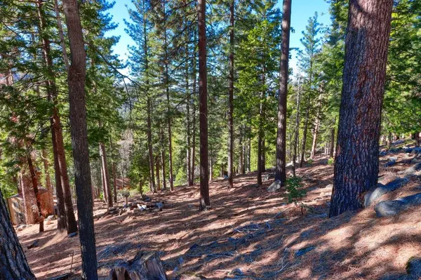 7349 Yosemite Park WAY, Yosemite West, CA 95389