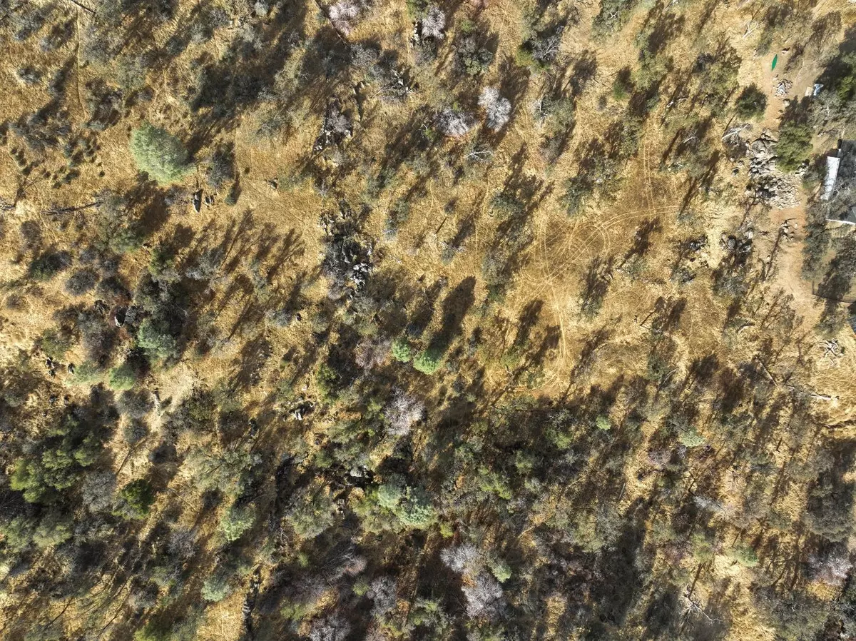 Coarsegold, CA 93614,1203 Corral DR