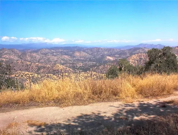 Yokuts Valley, CA 93675,294 Cougar Lane