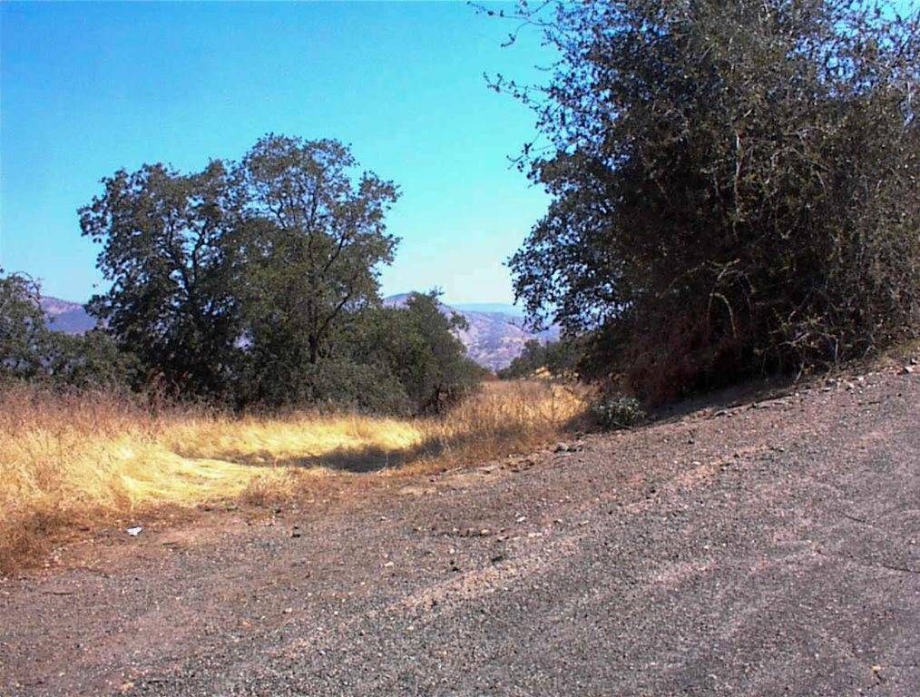 Yokuts Valley, CA 93675,248 Fawn LN