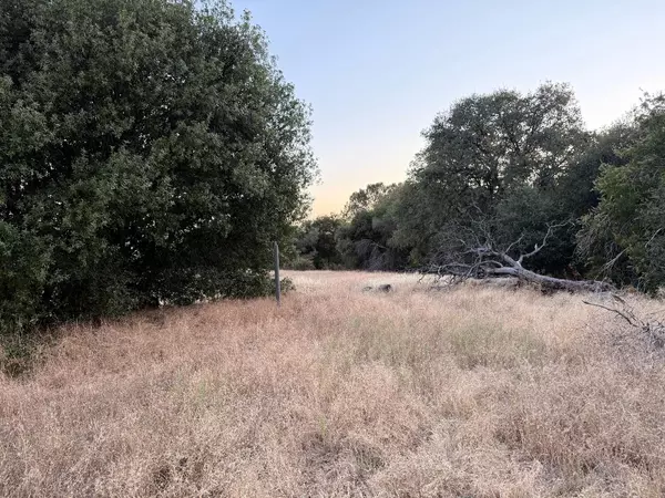 Coarsegold, CA 93614,1 Buggy Whip DR