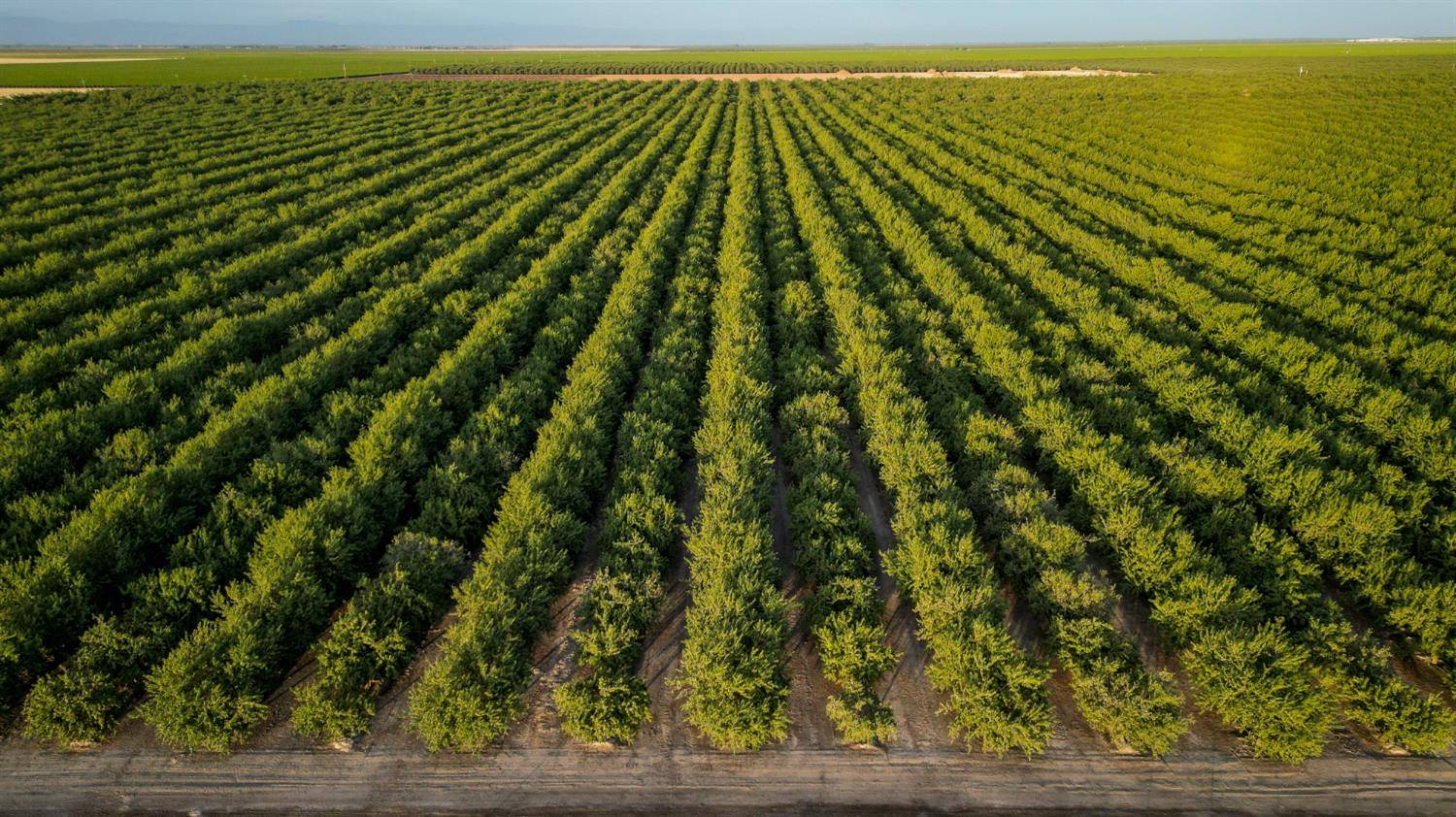 11885 Road 9, Madera, CA 93637