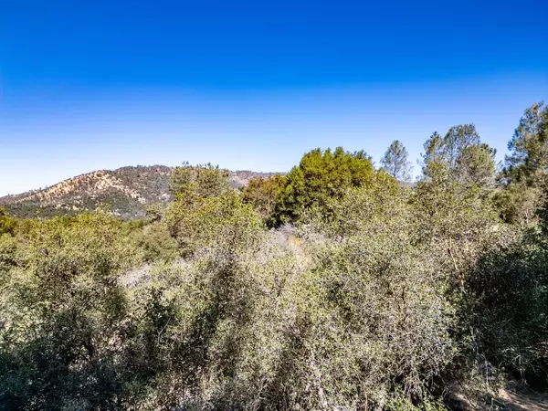 41902 Woodward Way, Ahwahnee, CA 93601
