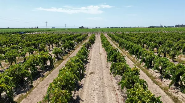 0 W Clarkson AVE, Caruthers, CA 93609