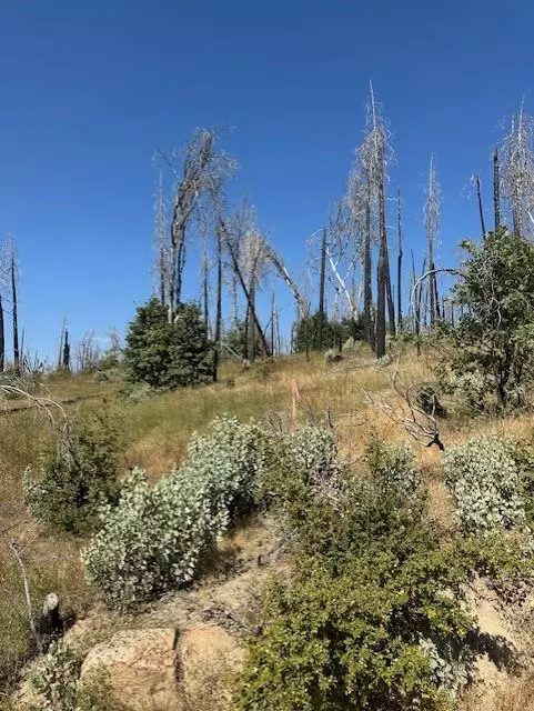 Auberry, CA 93602,1 Auberry Road