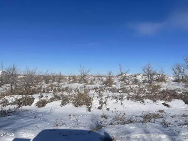 Williston, ND 58801,Tbd Maggie ST