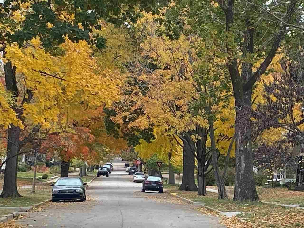 Manhattan, KS 66502,1529 Humboldt ST