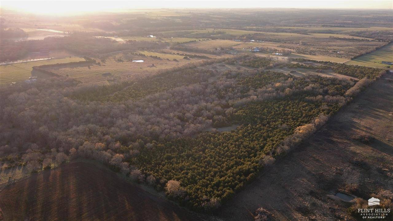 Quenemo, KS 66528,00000 E 317th ST