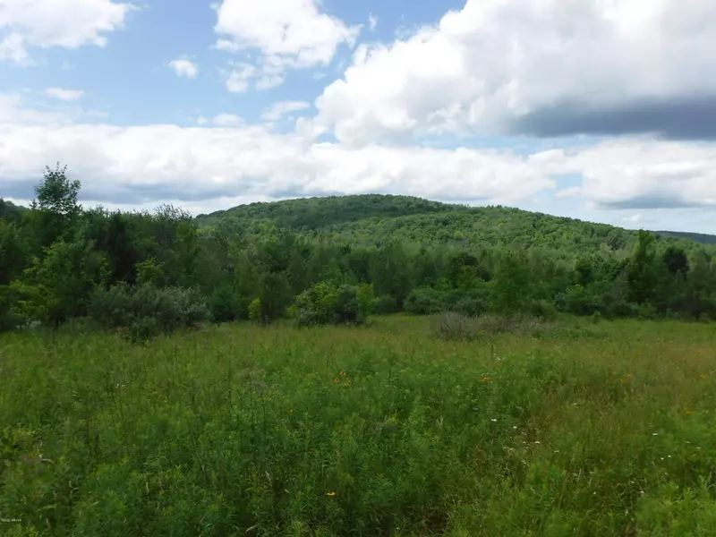 200 SPOKE LN, New Albany, PA 18833