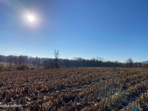 PARC.199.25 POND RD ##25, Pennsdale, PA 17756