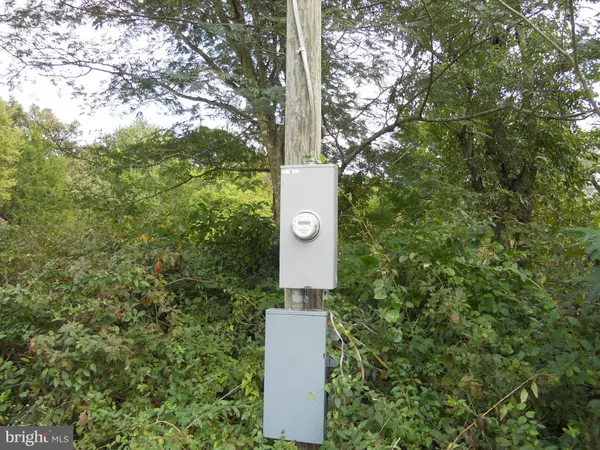 Goldvein, VA 22720,13441 SILLAMON RD