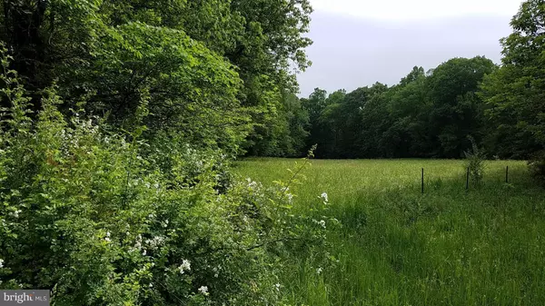 LOT 5 WINCHESTER GRADE RD, Berkeley Springs, WV 25411