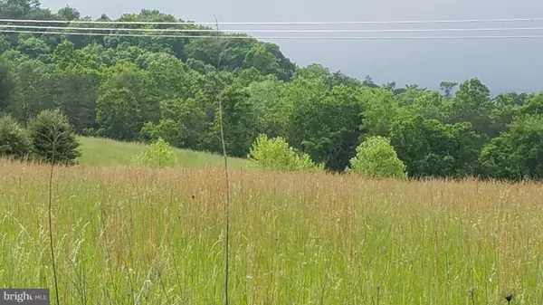 LOT 4-LOT 4 WINCHESTER GRADE RD, Berkeley Springs, WV 25411