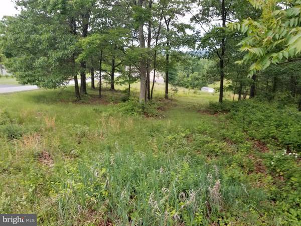 FAIRVIEW OAKS LANE, Berkeley Springs, WV 25411