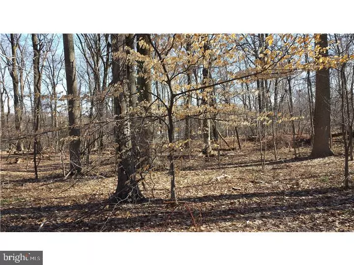 LOT 002 HONEY HOLLOW RD, Solebury, PA 18938