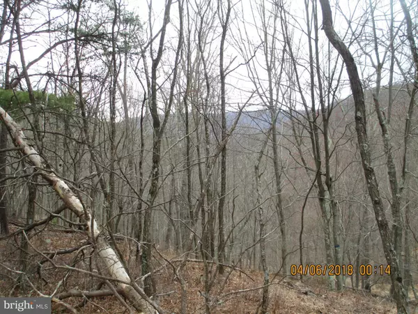 Romney, WV 26757,-LOT 167 MT. PATTERSON RD