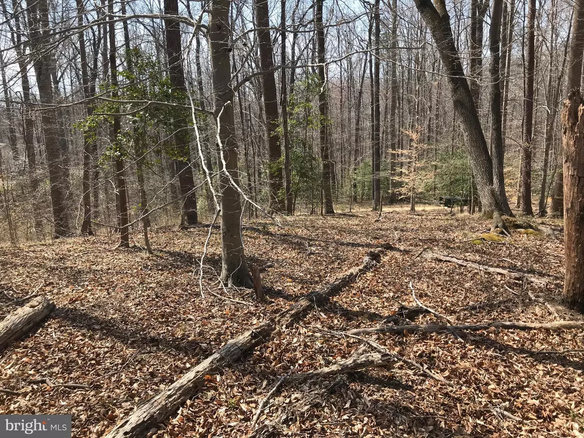 Mechanicsville, MD 20659,28725 CRITTER RUN LN #LOT 9