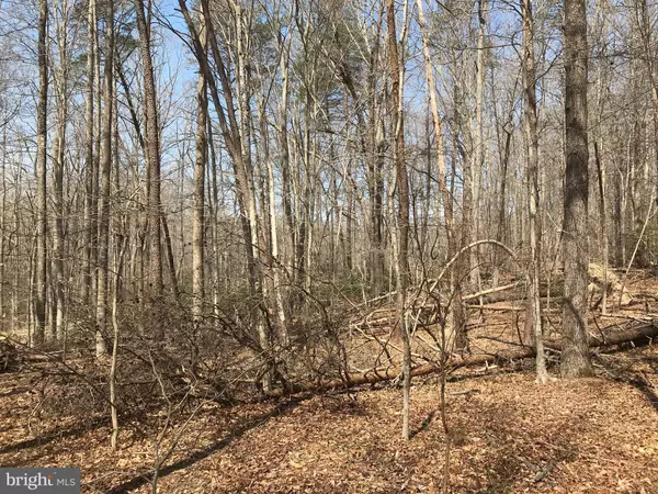 Mechanicsville, MD 20659,28725 CRITTER RUN LN #LOT 9