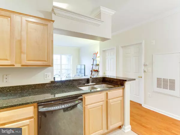 Alexandria, VA 22311,4551 STRUTFIELD LN #4225