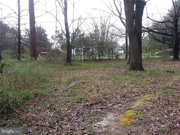 LOT 46 FARM LN, Millsboro, DE 19966