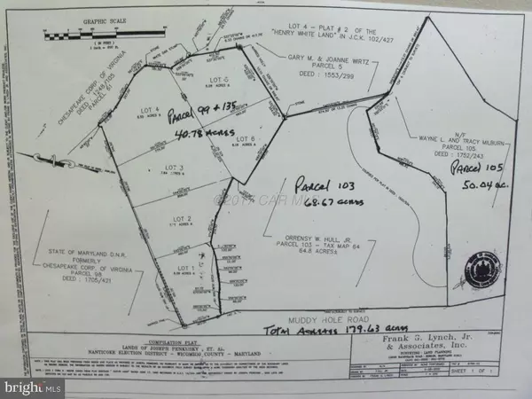 PARCEL 135 MUDDY HOLE RD, Tyaskin, MD 21865