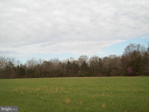 BRISTERSBURG RD, Catlett, VA 20119