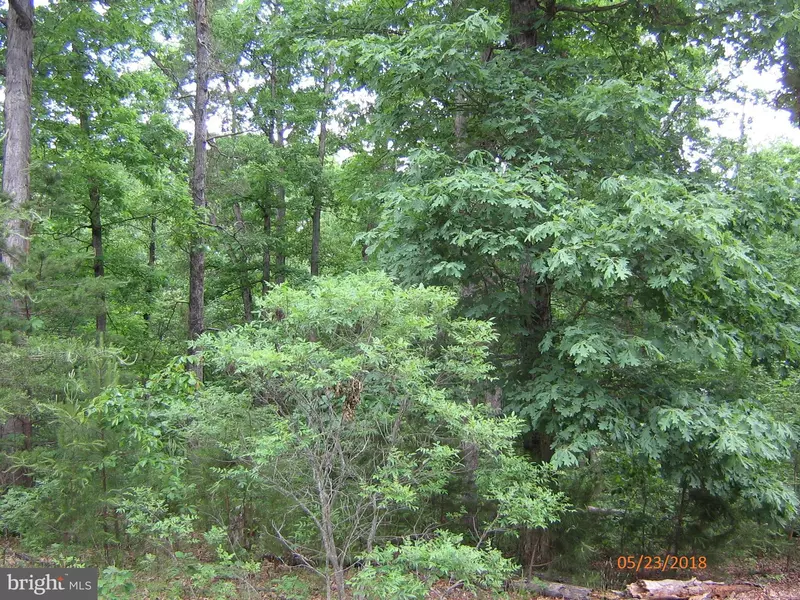 -LOT 176 TRAVELLER RD, Mineral, VA 23117