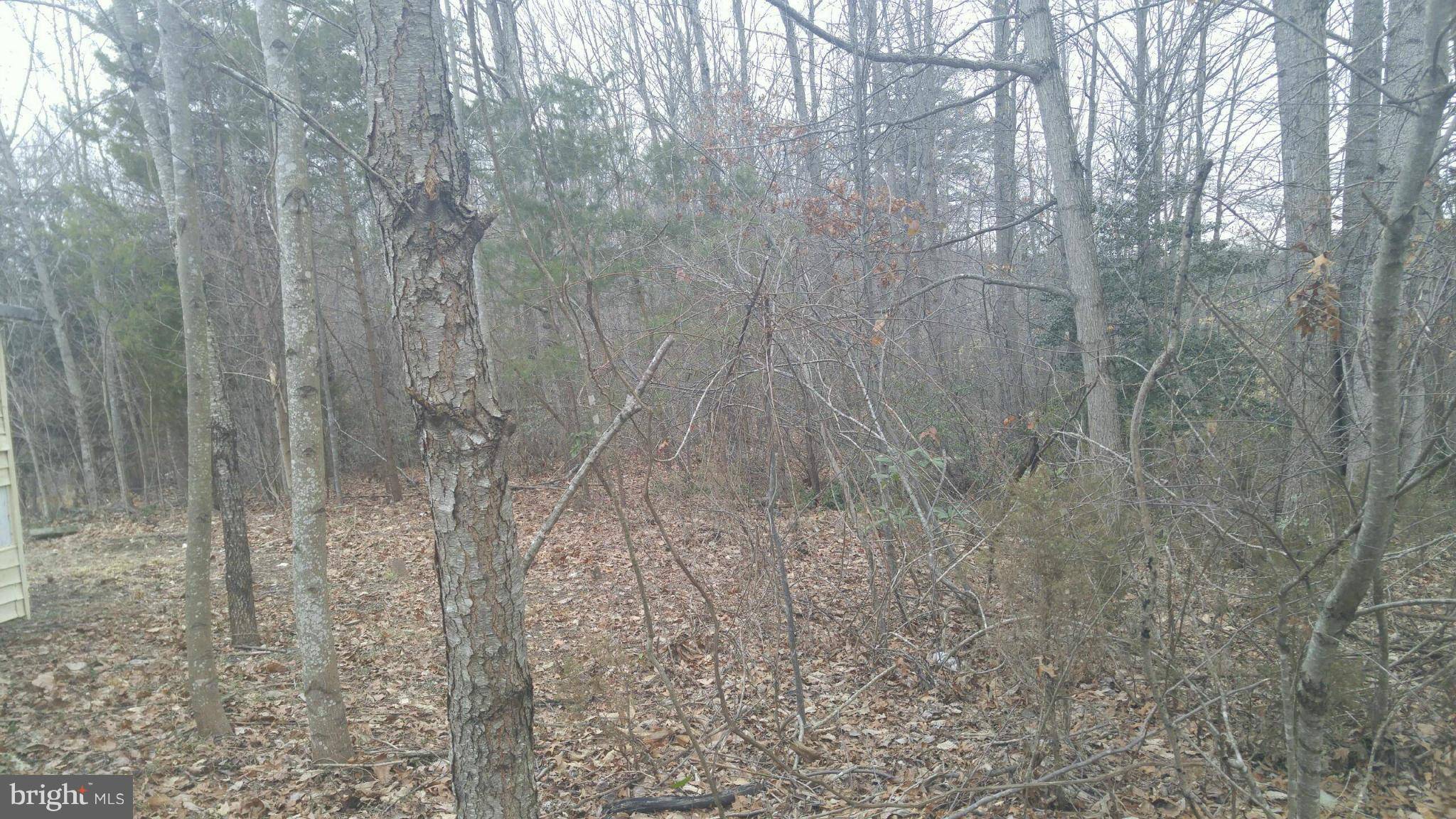 601 CONFEDERATE DR, Locust Grove, VA 22508