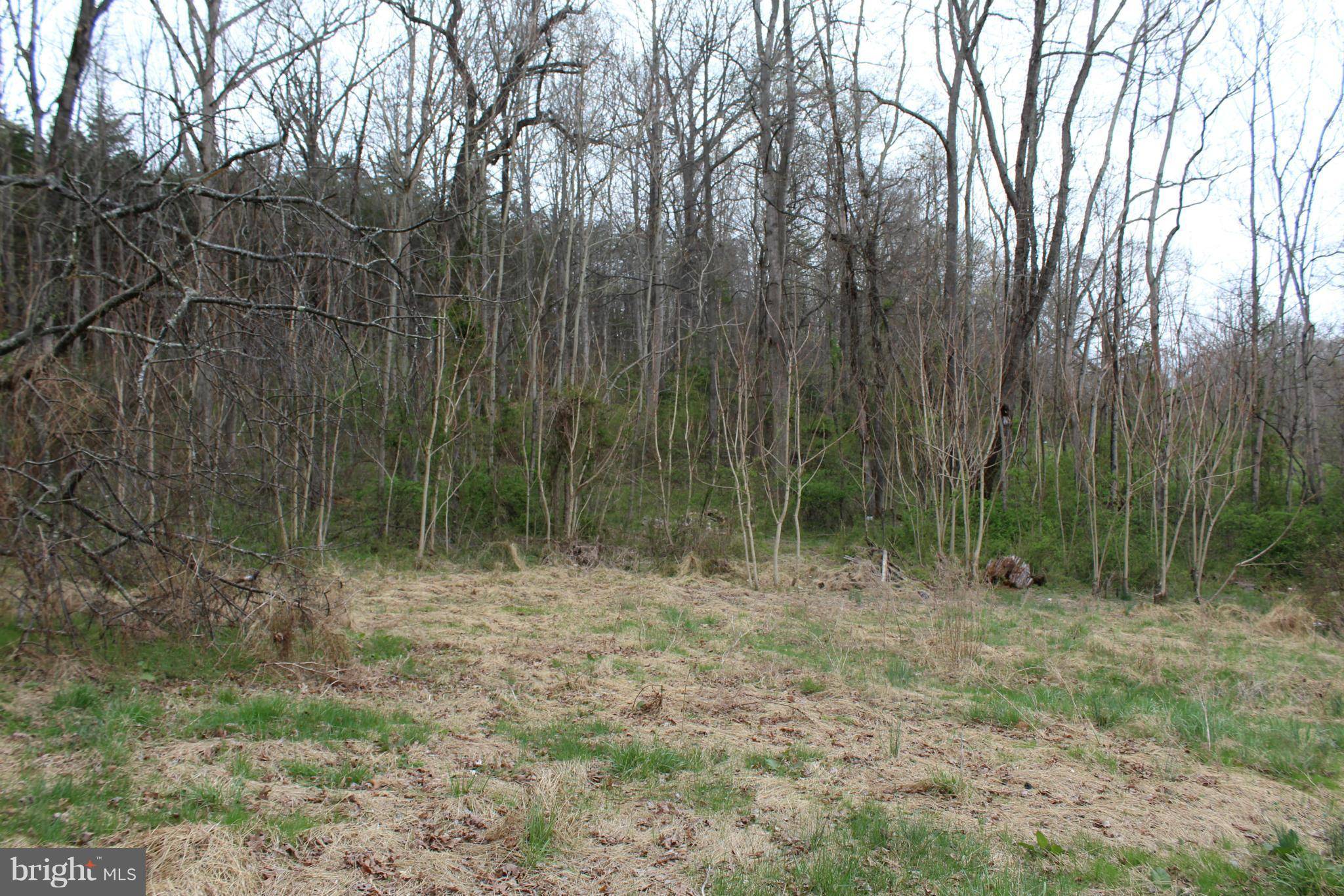 5204 RIXEYVILLE RD, Jeffersonton, VA 22724