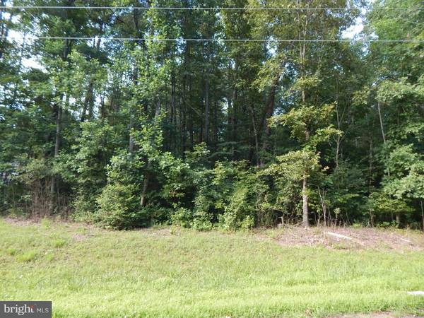 SWAN WOODS RD, Rhoadesville, VA 22542