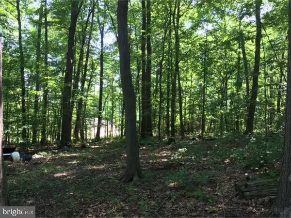 Boyertown, PA 19512,LOT 2 SANDY HILL RD