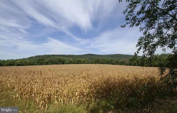 CHARLESTOWN PIKE/CORNER MTN RD, Hillsboro, VA 20132