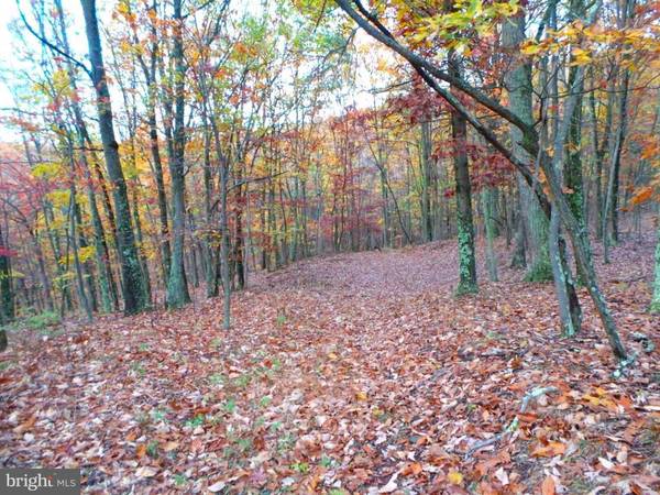 CHICKLOO LANE, Great Cacapon, WV 25422