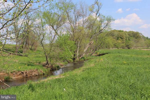 Bluemont, VA 20135,EBENEZER CHURCH ROAD