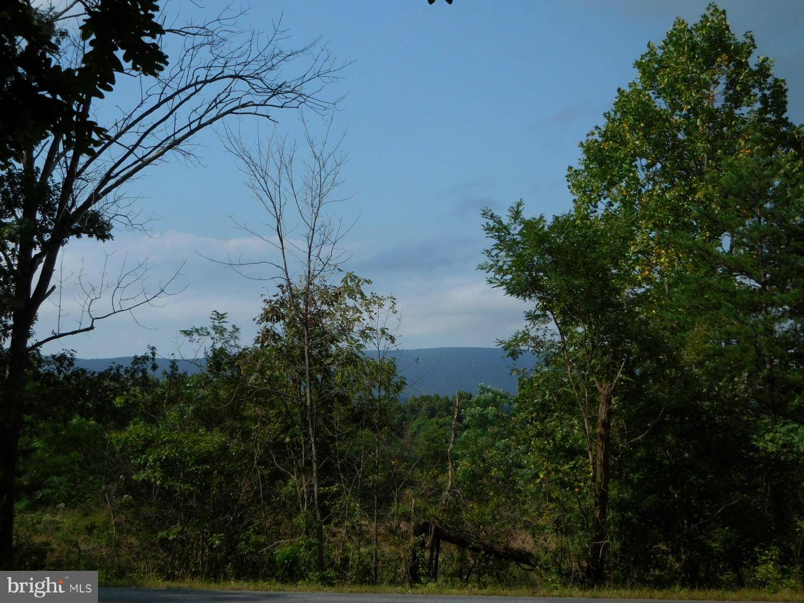 Cross Junction, VA 22625,LOT 9B REYNOLDS ROAD