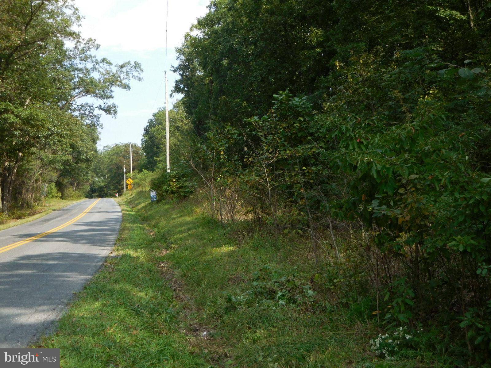 Cross Junction, VA 22625,LOT 9B REYNOLDS ROAD