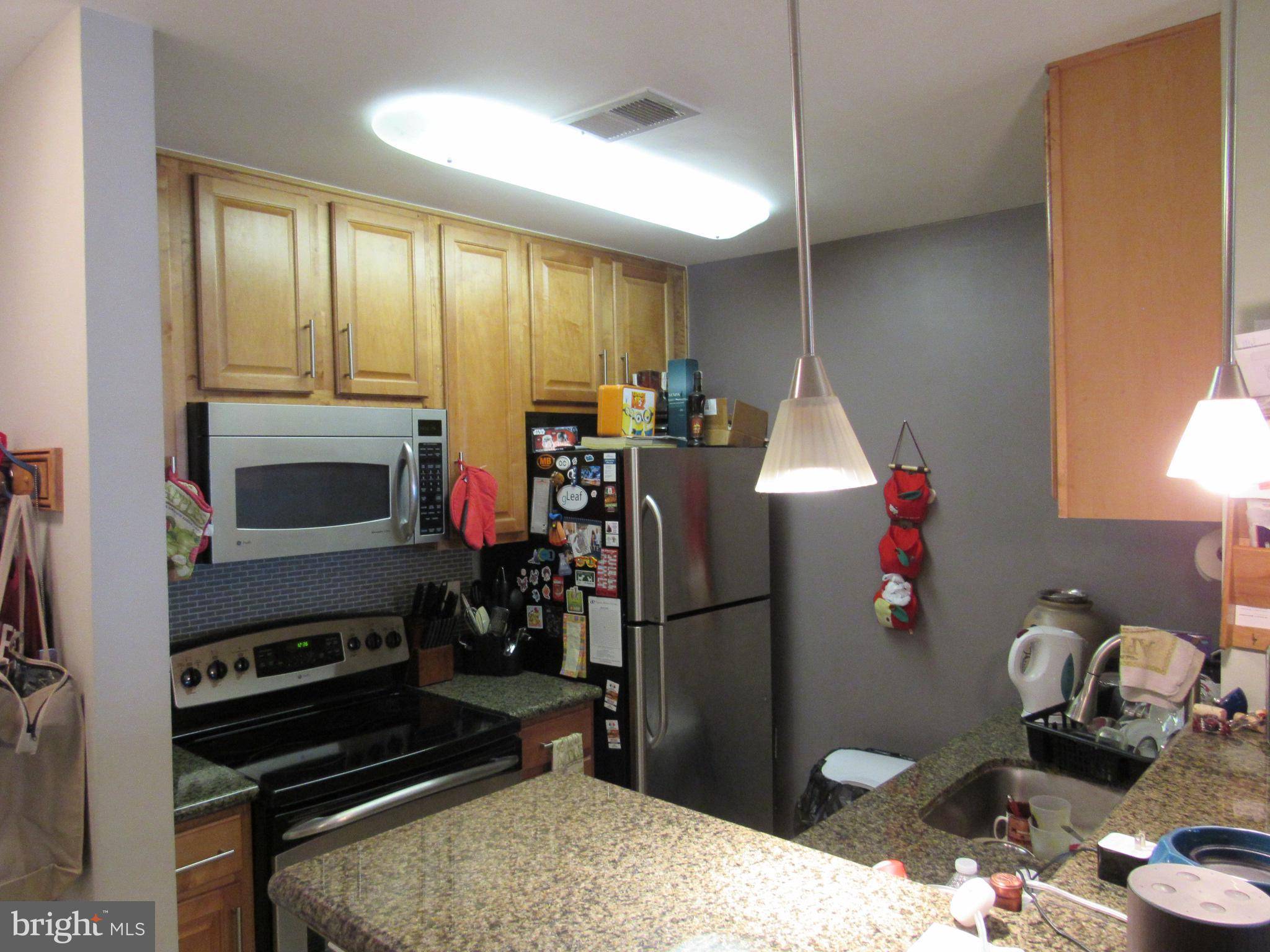 Oakton, VA 22124,3176 SUMMIT SQUARE DR #4-A4