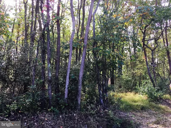 LOT 0 TOLLGATE RD, Pipersville, PA 18947