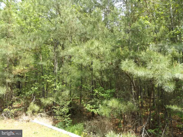 Colonial Beach, VA 22443,LOT #5 13TH