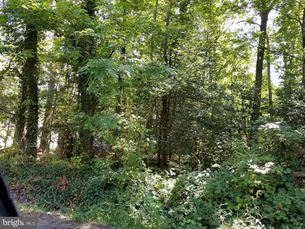 Colonial Beach, VA 22443,0 11TH LOT 59 ST